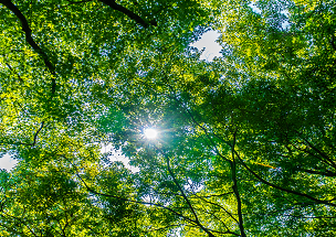 Bretagne Telecom developpement durable course endurance rennes ecologie Bretagne Telecom developpement durable course endurance rennes ecologie