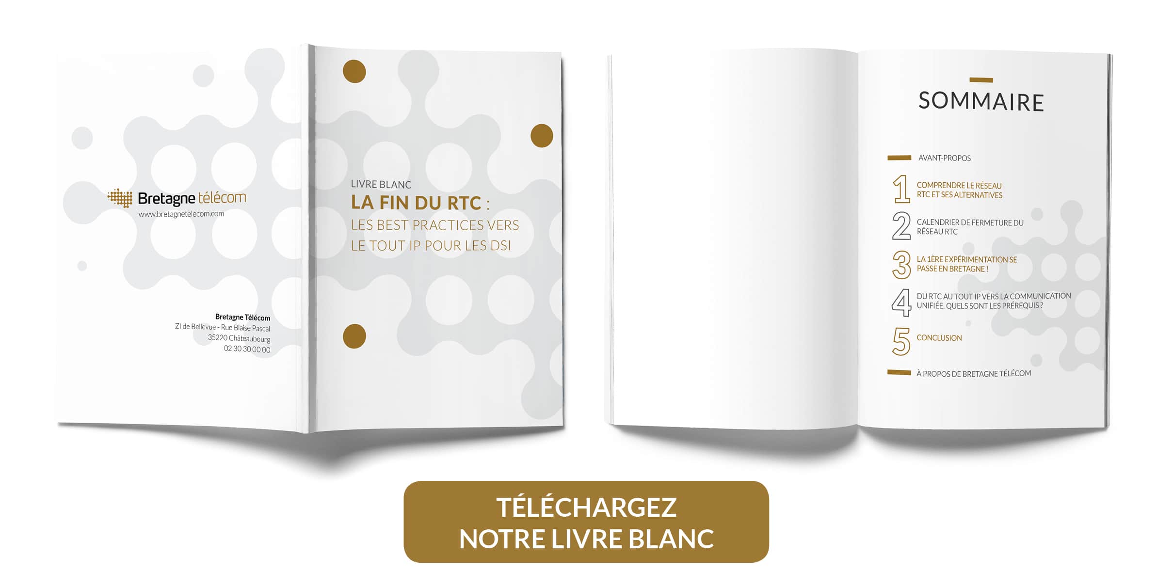 Bretagne Télécom illustration infographie rtc