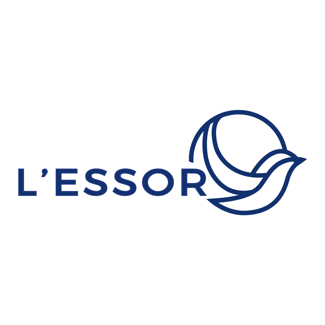 L'essor