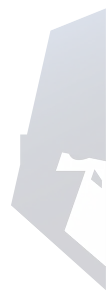 gorille_web_slider_G