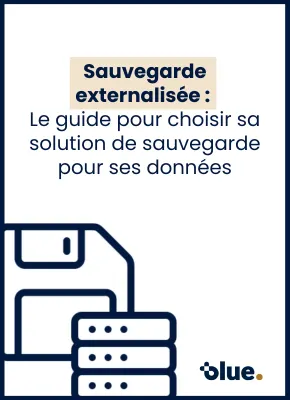 Sauvegarde externalisée - Blue - Article
